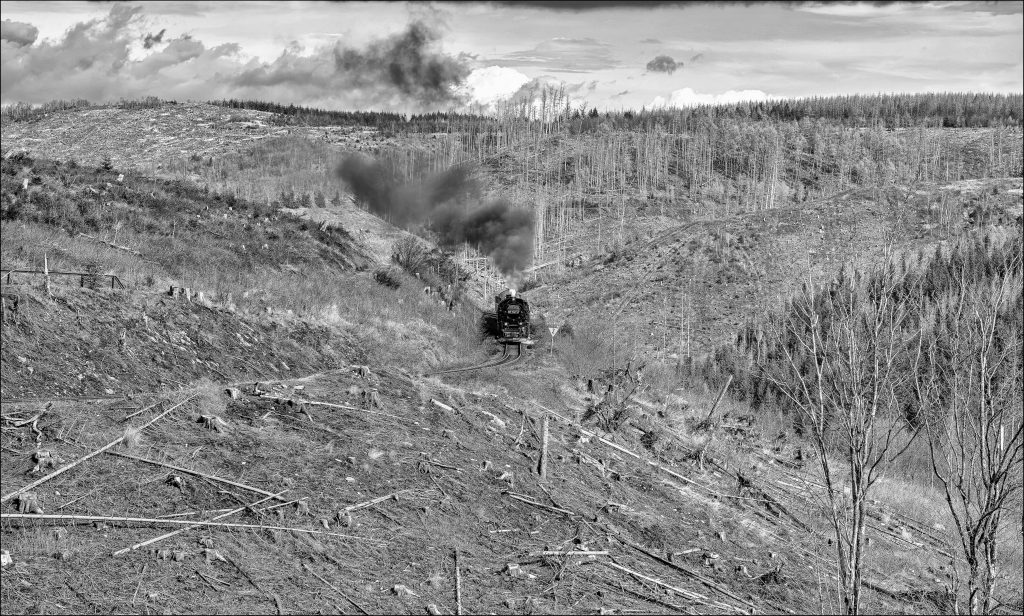 Steam Engine, Train, Class 99, Hills, Cut Trees, Devastaed Landscape