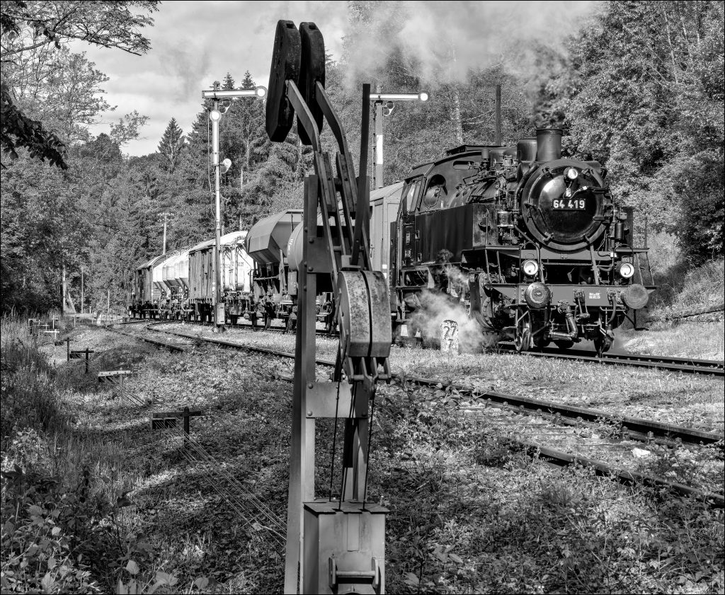 Steam Engine, Train, Class 64, Signals, Railway Tracks, Trees