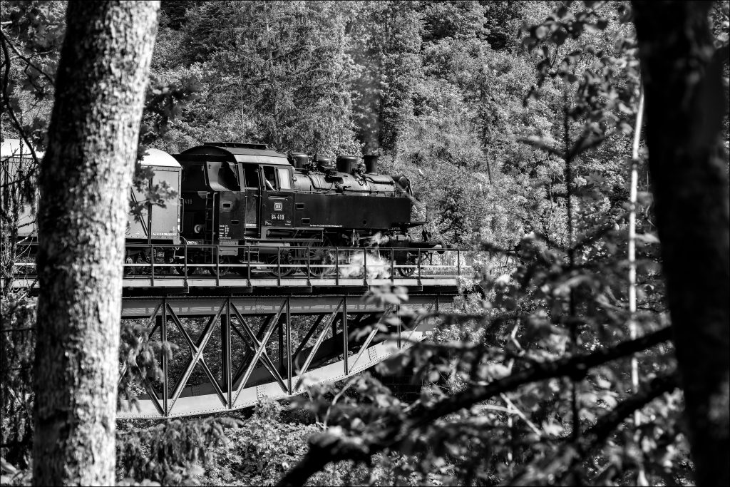 Steam Engine, Train, Class 64, Wood, Bridge